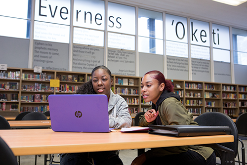 Two Students on laptop in a library