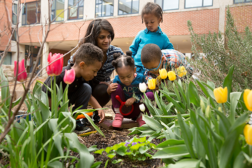Students in garden